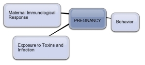 Health Influences in Pregnancy