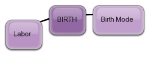 Birth is a process with two major components